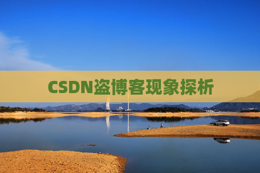 CSDN盗博客现象探析